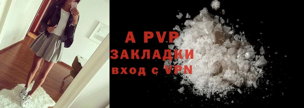 крисы Каменногорск
