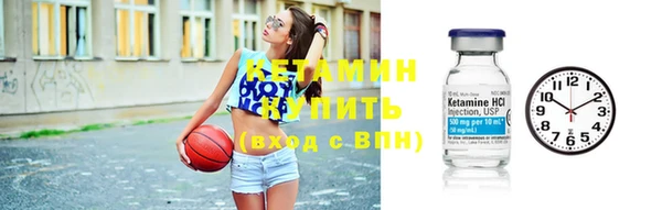 крисы Каменногорск
