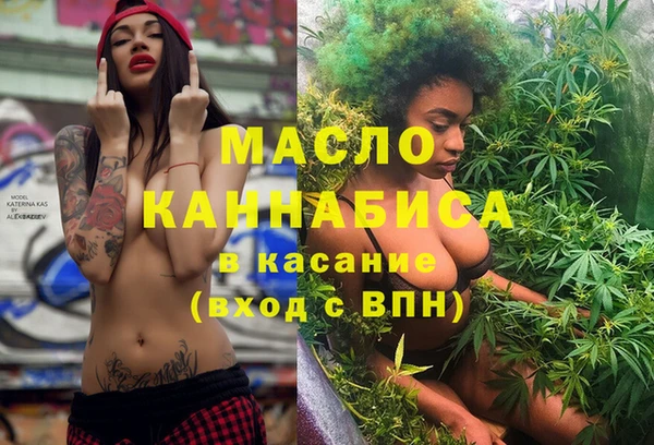 крисы Каменногорск