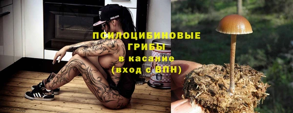 COCAINE Каменка
