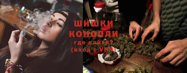 крисы Каменногорск