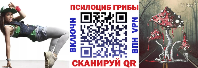 Псилоцибиновые грибы Psilocybe  Купить  Нариманов 